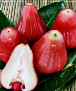 Jambu Air