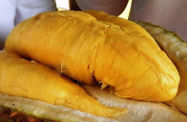 Buah Durian Musang King