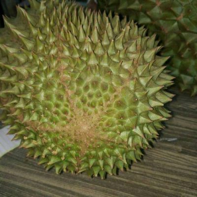 Buah Durian Musang King