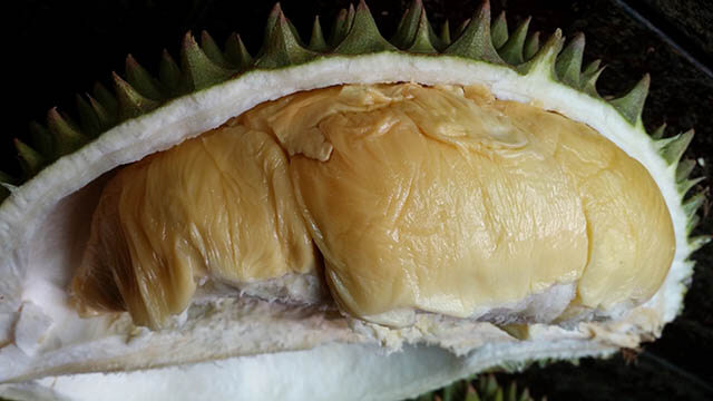 Durian Kani