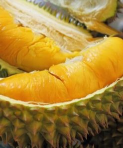 Durian