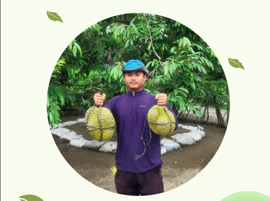 Panduan lengkap budidaya durian