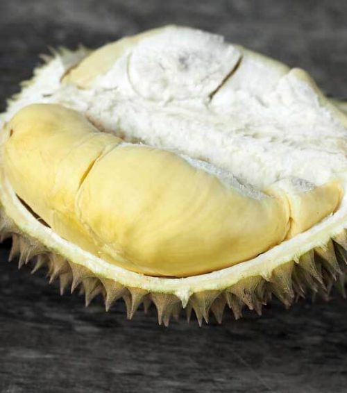 bibit durian kani