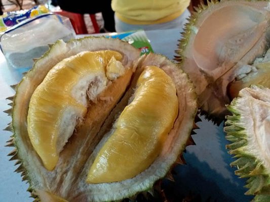 buah Durian D24