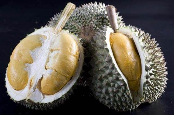 buah Durian duri hitam