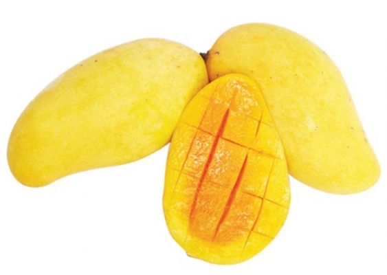 buah mangga chokanan