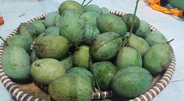 buah mangga madu anggur