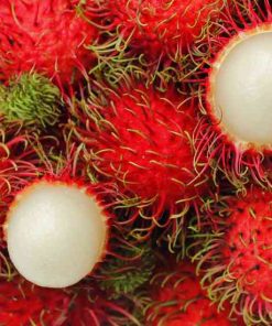 Rambutan