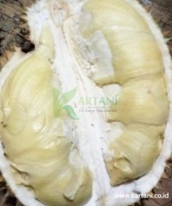 durian Bintana