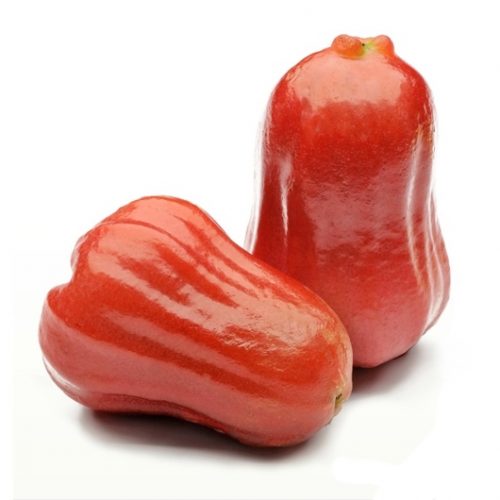 jambu air rose apple